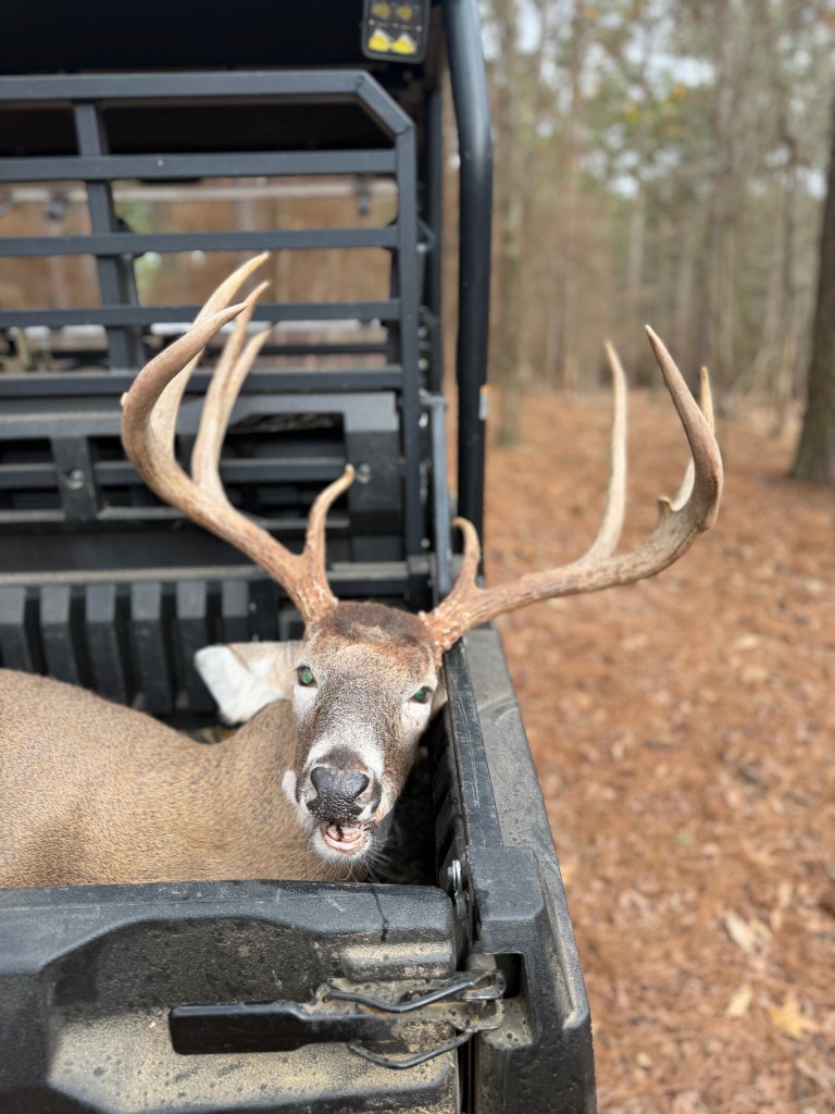 The image shows Big 9, a large deer with antlers lying in the back of a black Kawasaki Mule utility vehicle. Big 9’s head and antlers are prominently visible. Heroes Ranch forest is in the background with trees and dry leaves on the ground. The lighting is natural, highlighting the texture of Big 9’s fur and antlers.